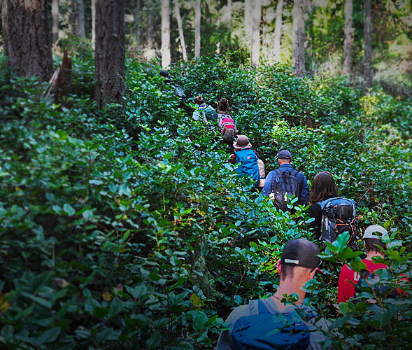 Students walking on tree with a guide cable