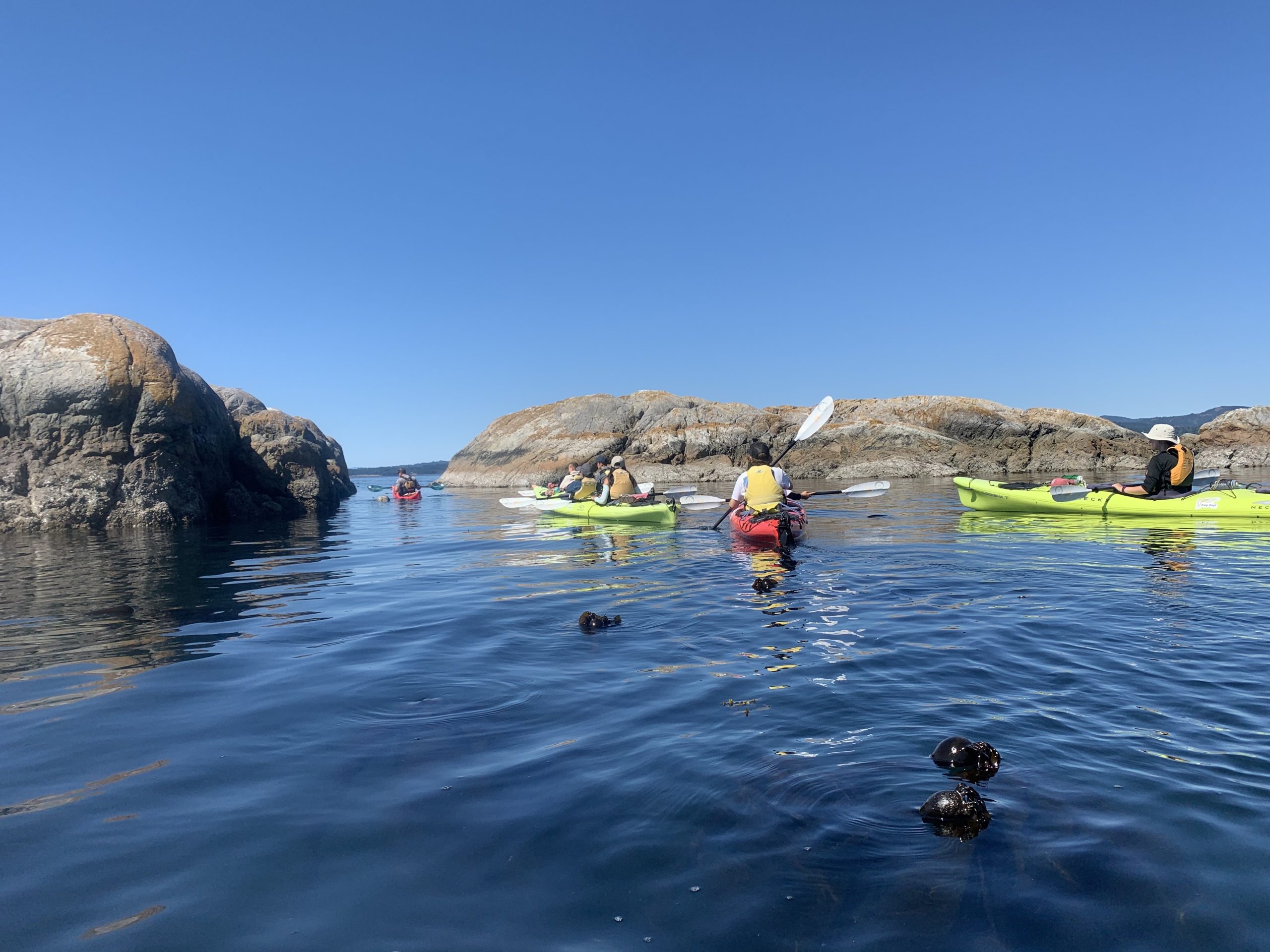 Victoria Kayak Westcoast Adventure College